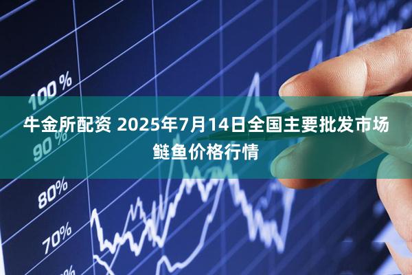 牛金所配资 2025年7月14日全国主要批发市场鲢鱼价格行情